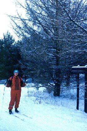 [Skiing in the forest]