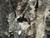 click to expand