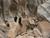 click to expand
