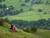 click to expand