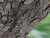 click to expand