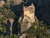 click to expand