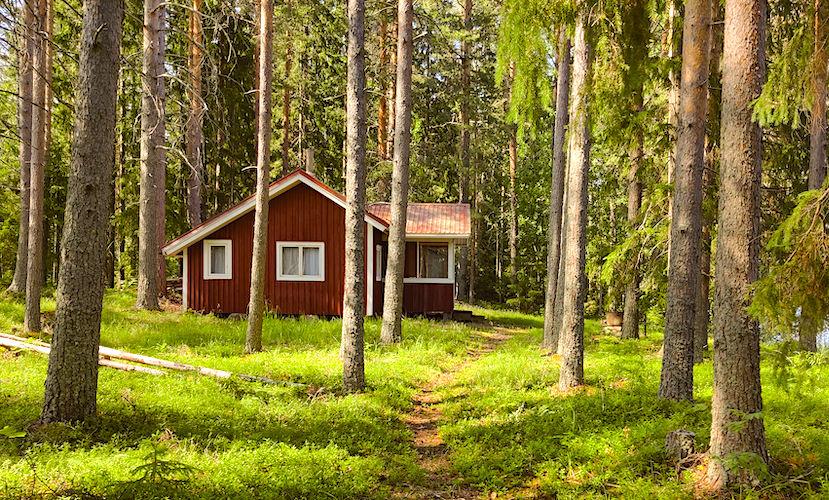 Picture from Eastern Finland. Photo © Jussi T. Eronen