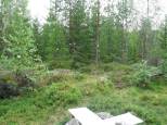 NE-kulma (piste 1017 signaali nkyy)