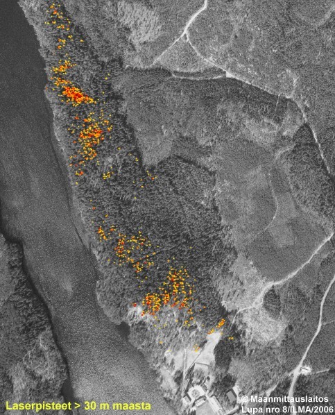 Kuivajärven lh.metsä lidarosumat yli 30 m