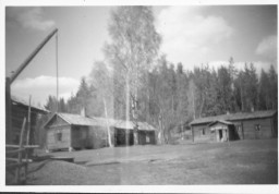 Vuorijärven pihapiiriä 1957