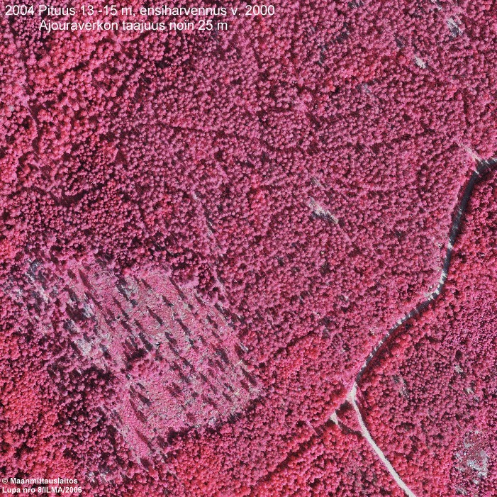 Ortokuva 350 x 350 m, v. 2004