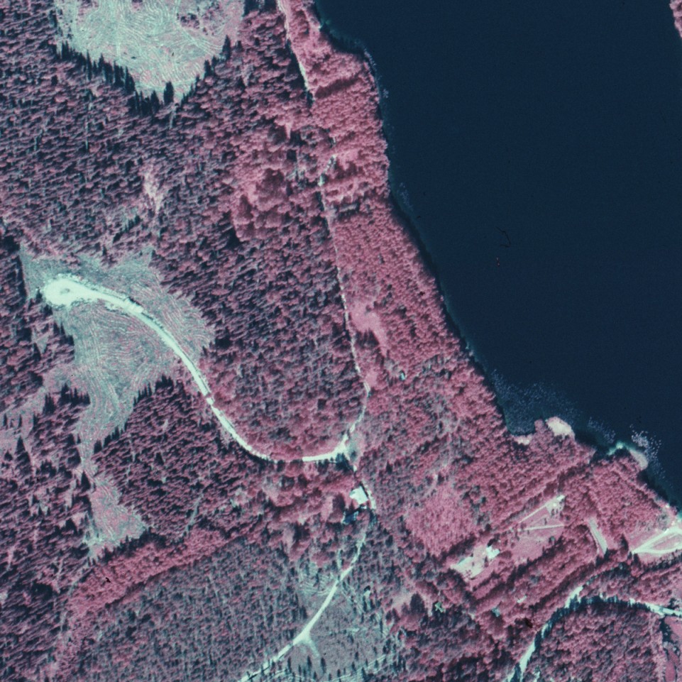 1946