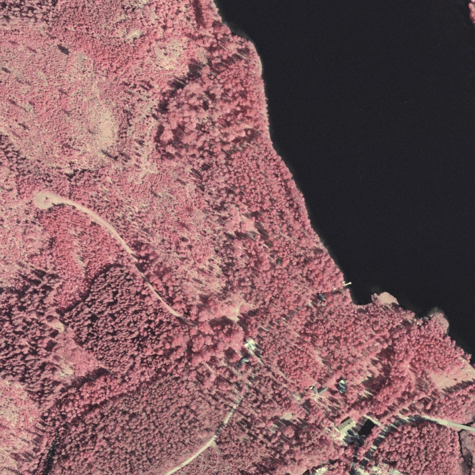 1946