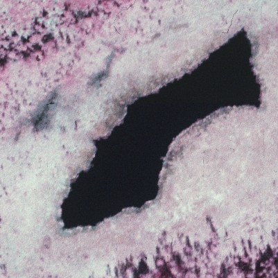 Silmäpäänlammi 1985
