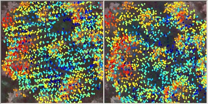 Sample of 2006 LiDAR