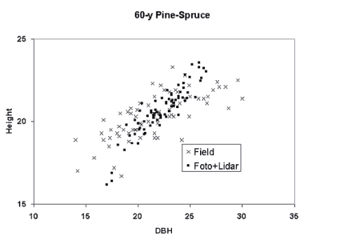 STRS estimates in a pine-spruce stand