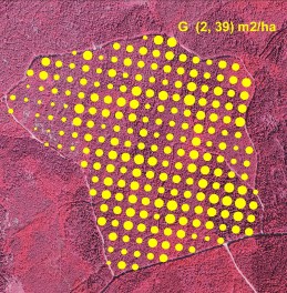 Basal area based on LiDAR