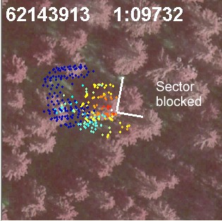 A sector blocked to remove neighbors effect