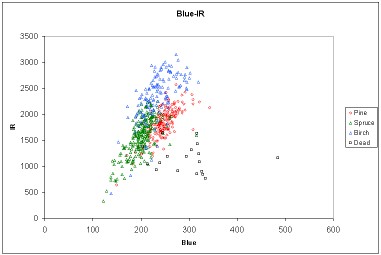 IR x Blue of Pine, Spruce, Birch