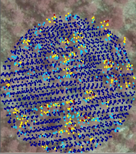 Seedling stand with LiDAR 0-4 m HSV