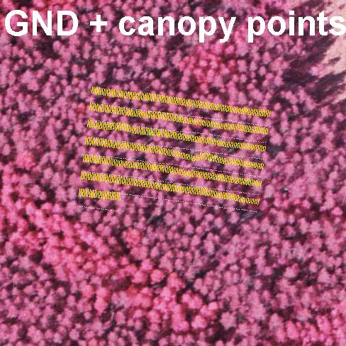 Maapisteet ja hakuav.pisteet - slices