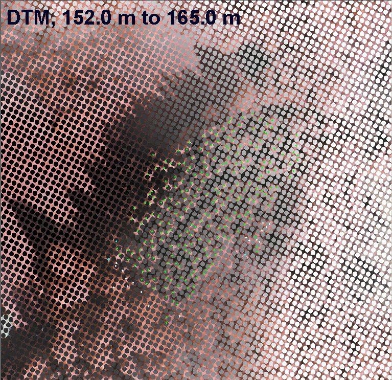 DTM_And_Treetops_Superimposed