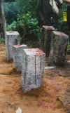 kivet.jpg (56851 bytes)
