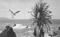 indigena1